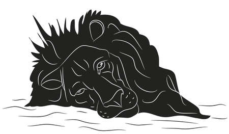 lion vector, drawing silhouette, vector, white backgroundのイラスト素材
