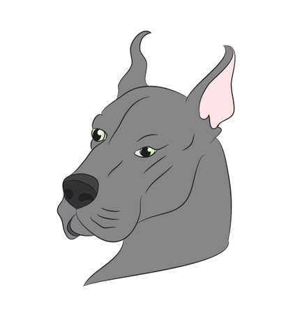 profile portrait of a dog, look  vector, white backgroundのイラスト素材