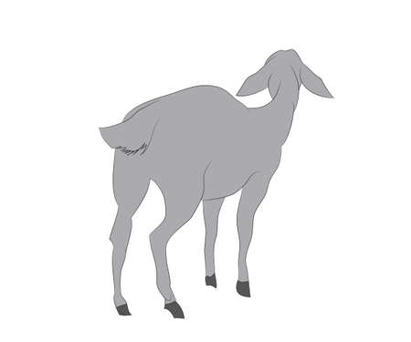 vector illustration of a goat that stands, drawing color, vector, white backgroundのイラスト素材