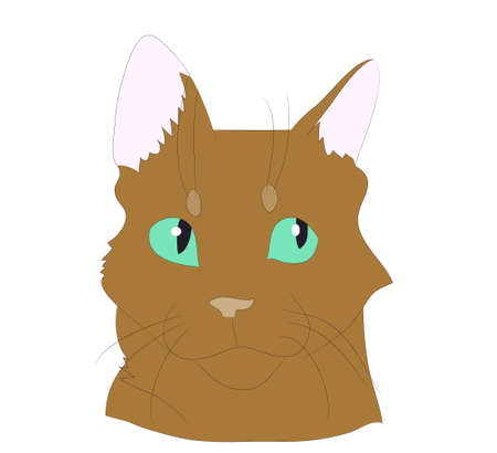 vector illustration cat portrait, vector, white background, color drawingのイラスト素材