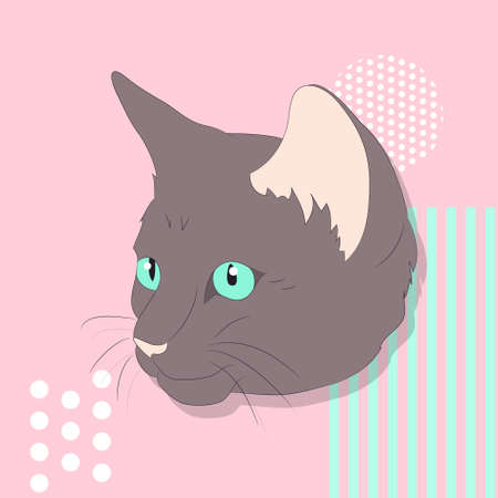 vector illustration of a portrait of a cat on a colored background, bright background, vectorのイラスト素材