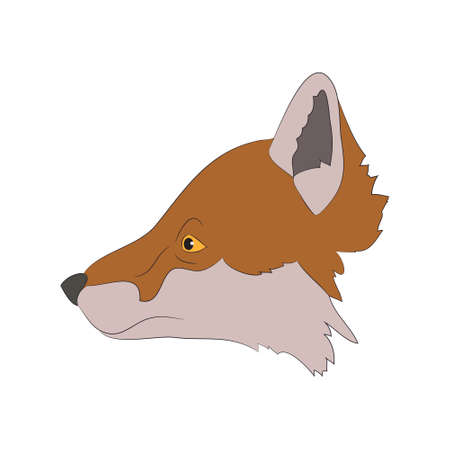 fox portrait vector illustration, color illustration, wild world, vector, white backgroundのイラスト素材