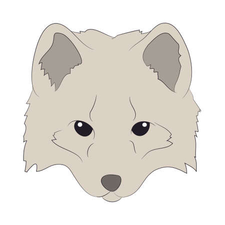 fox portrait vector illustration, color illustration, wild world, vector, white backgroundのイラスト素材