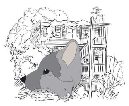 portrait of fox, vector, on green background, looking upのイラスト素材