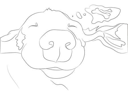 Vector illustration of a portrait of a dachshund that is sleeping, line drawing, vector, white backgroundのイラスト素材