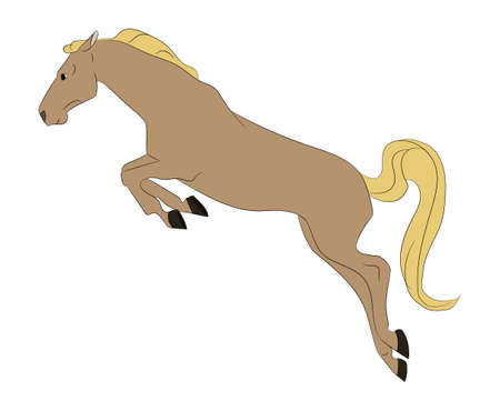 horse vector illustration, color illustration, vector, white backgroundのイラスト素材