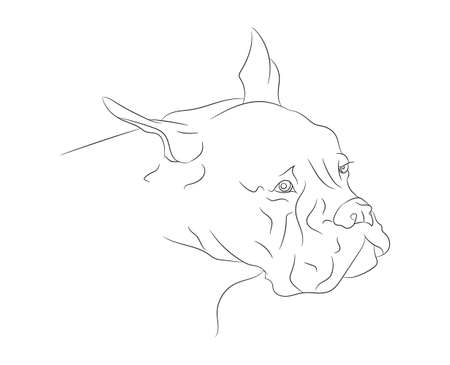 dog portrait vector illustration, line drawing, vector, white backgroundのイラスト素材