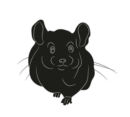 mouse vector illustration, drawing silhouette, vector, white backgroundのイラスト素材