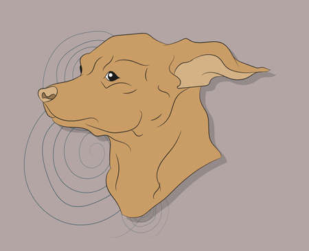 vector illustration of a portrait of a dog on a bright background, vectorのイラスト素材