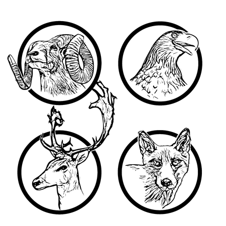 four forest animals in the ringsのイラスト素材