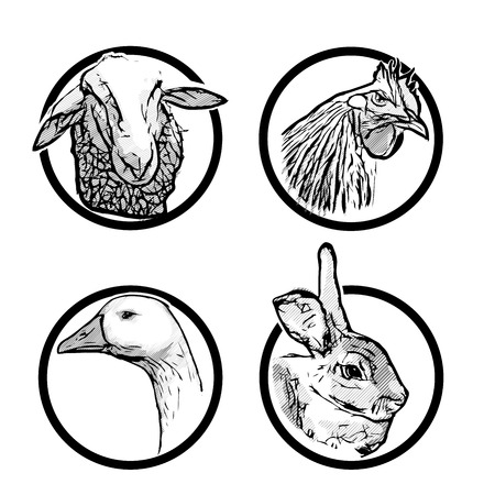 four farm animals illustrations in the ringsのイラスト素材