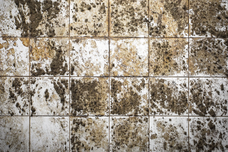 texture of old wall tiles - Grunge background.の写真素材