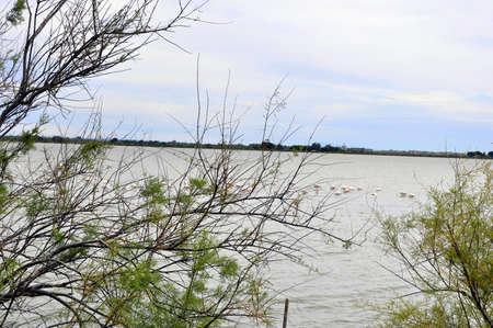 A lakeの写真素材