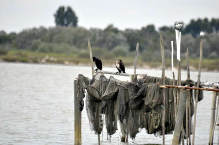 a fishing netの写真素材
