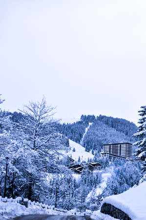 winterの写真素材