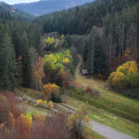 Autumn in the german mountainsの写真素材