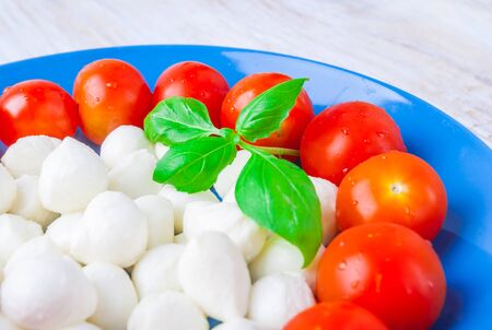 Mozzarella cheese on a blue plate with a basil leafの写真素材