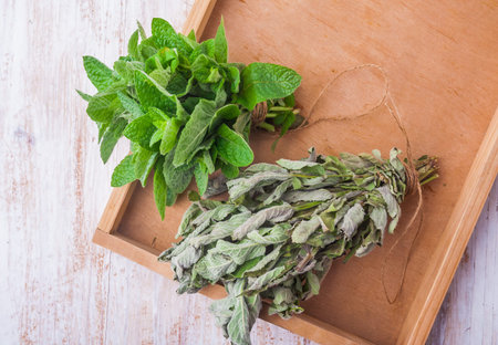 Dried and fresh mint on wooden table. studio shot