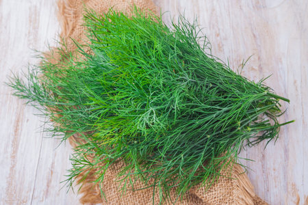 fresh dill on white wooden table. studio shot