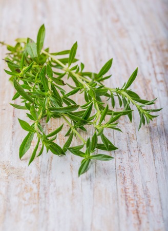 Branch of fresh savory on a white wooden tableの写真素材