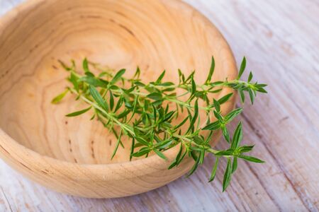 Branch of fresh savory on a white wooden tableの写真素材