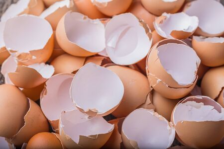 brown dry eggshell on the wooden table. studio shotの写真素材