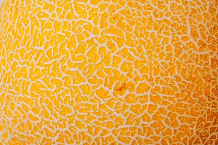 Galia melon grungy texture suitable as backgroundの写真素材