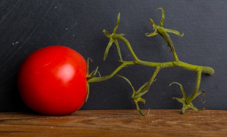 One red tomato with twig on a table. studio shotの写真素材