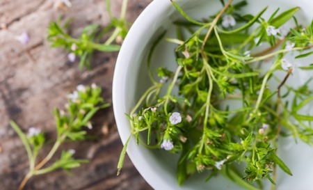 Fresh savory in bowl on wooden board. studio shotの写真素材
