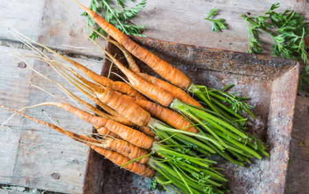 Fresh carrots picked from the garden on wooden tableの写真素材