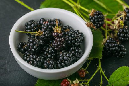 Blackberry with leaves in white bowl, studio shot