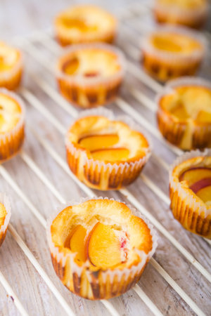 Cheesecake mini with peaches on a white cooling rackの写真素材