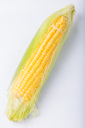 Cob of corn  isolated on white background, studio shotの写真素材