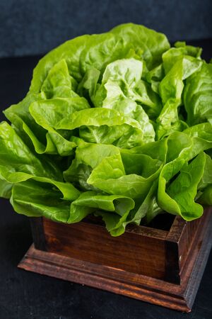 Fresh green lettuce salad on  black table, studio shotの写真素材