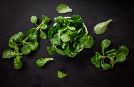 Fresh lamb's lettuce in white bowl on black tableの写真素材