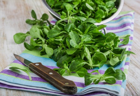 Fresh lamb's lettuce in  bowl on cloth, studio shotの写真素材
