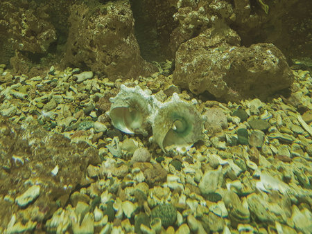 underwater world