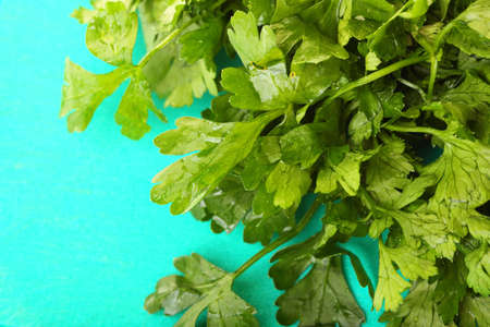 Twig of parsley nature food texture backgroundの写真素材