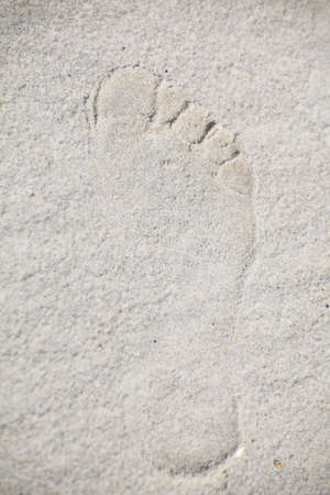 footsteps in sandy on the beach nobodyの写真素材