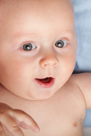 portrait of 6 months male child baby boy in blue eyeの写真素材