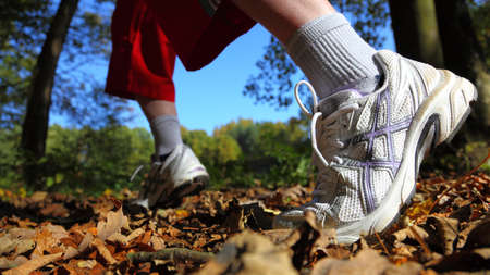 Woman walking cross country and trail in autumn forestの写真素材