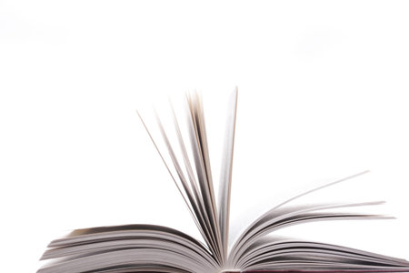 Isolated on white stack red book library object