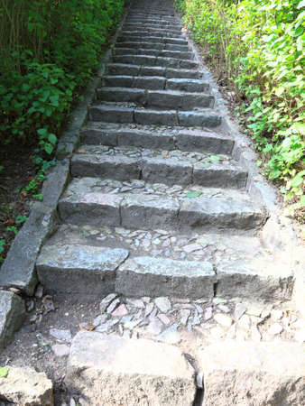 Concrete stairs in the jungle nature outdoorの写真素材