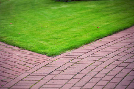 Garden stone path with grass growing up between and around stones, Brick Sidewalkの写真素材