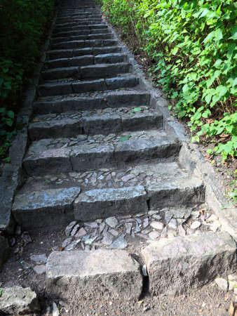 Concrete stairs in the jungle nature outdoorの写真素材