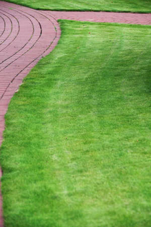 Garden stone path with grass growing up between and around stones, Brick Sidewalkの写真素材