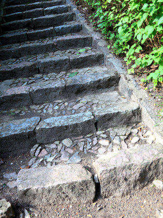 Concrete stairs in the jungle nature outdoor