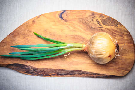 Healthy edible plant. Onion bulb with chives fresh green sprout, vegetable food on wooden boardの写真素材