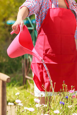 Gardening. Closeup woman working in her backyard garden watering plants flowers outdoorの写真素材