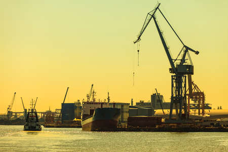 Business and commerce. Heavy load dockside cranes in port, cargo container yard. Industrial sceneのeditorial素材